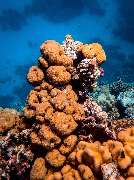 Aqua Inspiration Aquaristik Bonn - Aqua Inspiration