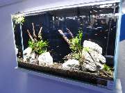 Aqua Inspiration Aquaristik Bonn - Aqua Inspiration