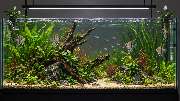 AquaCare&Design - GALLERY