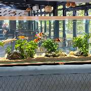 AquaCare&Design - GALLERY