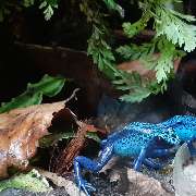 AquaLifeScape - GALLERY