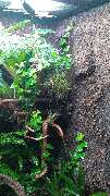 AquaLifeScape - GALLERY