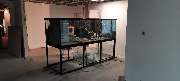 Aquaristik & Animal World - GALLERY