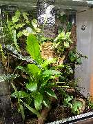 Aquaristik & Animal World - GALLERY