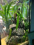 Aquaristik & Animal World - GALLERY