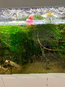 Aquaristik & Animal World - GALLERY