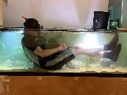 Aquaristik & Animal World - GALLERY