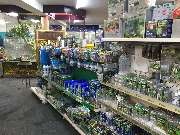 Aquaristik & Animal World - GALLERY