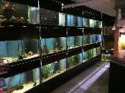 Aquaristik & Animal World - GALLERY