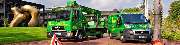 ArborCare·ca Baumdienst / Baumpflege / Seilklettertechnik Bonn - ArborCare·ca professioneller Baumdienst/Baumpflege/Seilklettertechnik Bonn