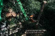 ArborCare·ca Baumdienst / Baumpflege / Seilklettertechnik Bonn - ArborCare·ca professioneller Baumdienst/Baumpflege/Seilklettertechnik Bonn