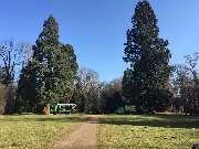 ArborCare·ca Baumdienst / Baumpflege / Seilklettertechnik Bonn - ArborCare·ca professioneller Baumdienst/Baumpflege/Seilklettertechnik Bonn