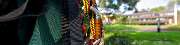 ArborCare·ca Baumdienst / Baumpflege / Seilklettertechnik Bonn - ArborCare·ca professioneller Baumdienst/Baumpflege/Seilklettertechnik Bonn