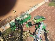 ArborCare·ca Baumdienst / Baumpflege / Seilklettertechnik Bonn - ArborCare·ca professioneller Baumdienst/Baumpflege/Seilklettertechnik Bonn