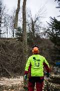 ArborCare·ca Baumdienst / Baumpflege / Seilklettertechnik Bonn - ArborCare·ca professioneller Baumdienst/Baumpflege/Seilklettertechnik Bonn