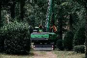 ArborCare·ca Baumdienst / Baumpflege / Seilklettertechnik Bonn - ArborCare·ca professioneller Baumdienst/Baumpflege/Seilklettertechnik Bonn