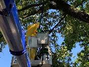 Arentz & Eisenhuth Schädlingsbekämpfung GmbH Köln - Arentz & Eisenhuth Schädlingsbekämpfung GmbH Köln