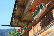 Aribohof Ferienwohnungen Lorenz Kandlinger - GALLERY