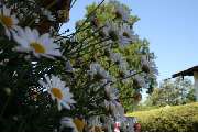 Aribohof Ferienwohnungen Lorenz Kandlinger - GALLERY