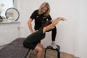 Aries-Therapie und Training - 14