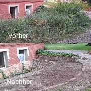 Armin Paul - 1000190891.jpg