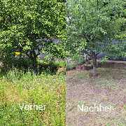 Armin Paul - 1000190893.jpg