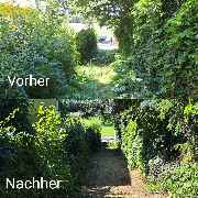 Armin Paul - 1000190895.jpg