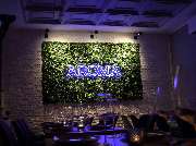 AROMA - Bar | Restaurant | Events - GALLERY