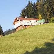 ARP Lindermeir GmbH Schädlingsbekämpfung - 7