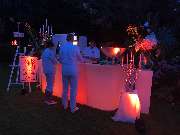 Art Decorations - GALLERY
