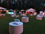 Art Decorations - GALLERY