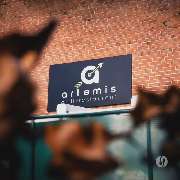 Artemis Grill Restaurant - GALLERY
