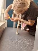 Artgerecht-dogspa - GALLERY