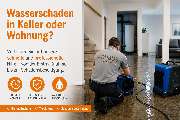 ARUBUS GmbH - GALLERY