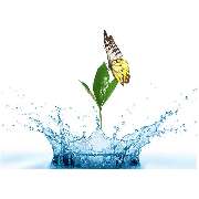 Aservice GmbH - Aservice GmbH Logo
www.aservice-gmbh.de