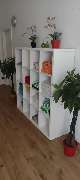 ASIA Massagezentrum Moers - GALLERY