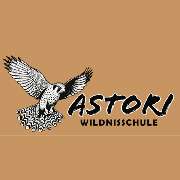 Astori Wildnisschule - LOGO