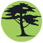 Astrein Baumpflege - LOGO