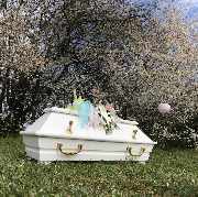 Atelier Magnolia Bestattungen - Besonders wie das Leben - GALLERY