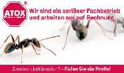 ATOX Schädlingsbekämpfungsfachbetrieb - GALLERY