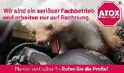 ATOX Schädlingsbekämpfungsfachbetrieb - GALLERY