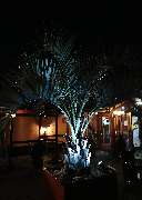 Atrium Fitness Hannover - GALLERY