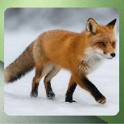 AttraTec GmbH - GALLERY