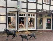 Augenoptik Fricke Inh. Andrea Weiß e.K. - GALLERY