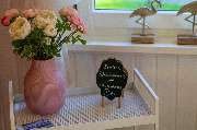 AUSZEIT An der Aller - GALLERY
