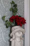 AUSZEIT An der Aller - GALLERY