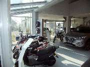 Auto Graml - Michael Graml - GALLERY