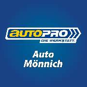 Auto Mönnich Inh. Uwe Mönnich - LOGO