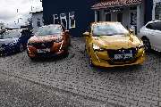 Auto Schubert - GALLERY