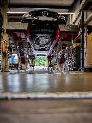 Auto Zorn - GALLERY